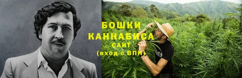 закладка  Бирюч  Бошки марихуана Ganja 